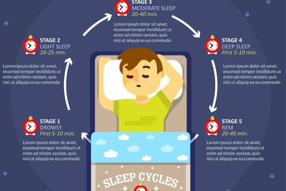 A Journey Through Physiology and Sleep Stages