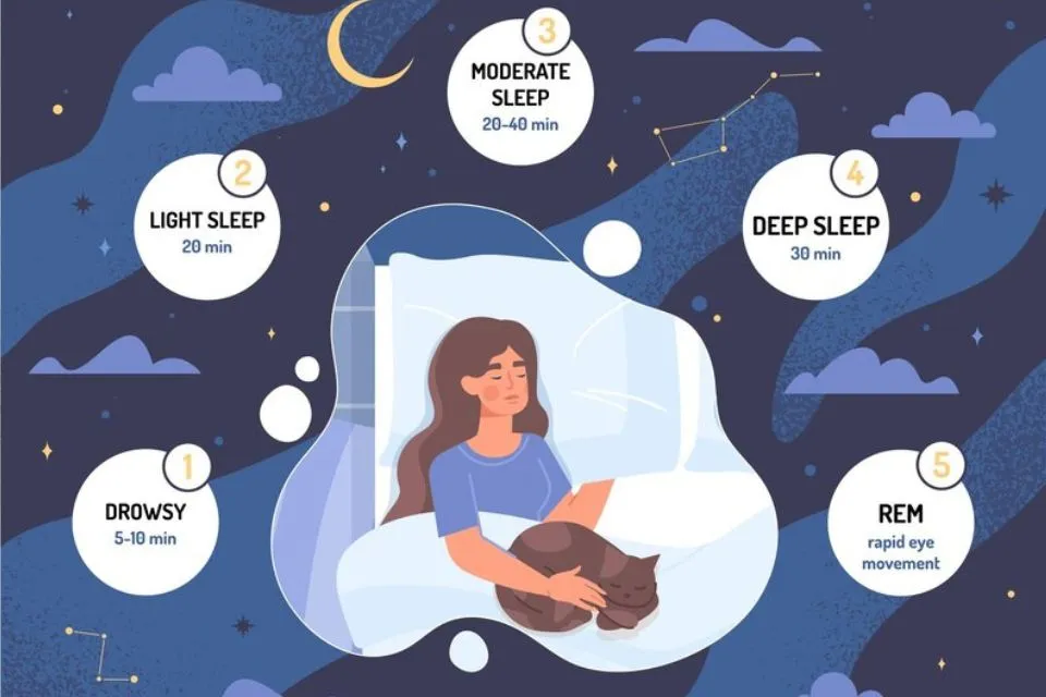 Reasons Behind Disrupting Sleep Cycles